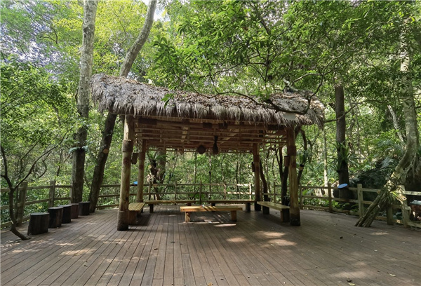 園冶杯金獎(jiǎng)作品丨五指山熱帶雨林谷道修繕項(xiàng)目