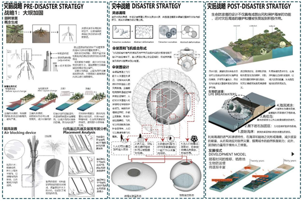 第十三屆園冶杯一等獎作品賞析丨逆風而上