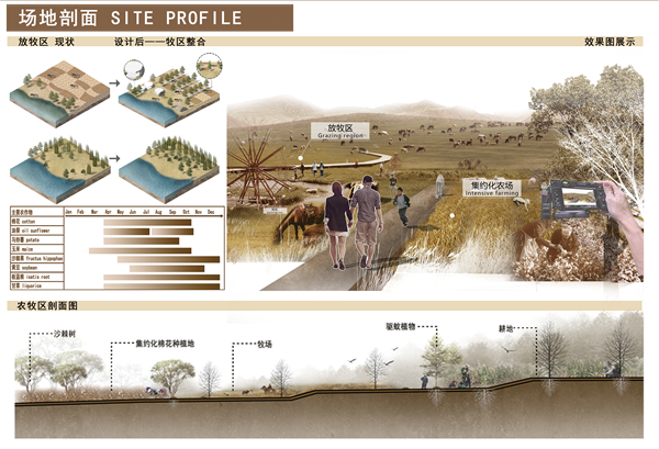 第十三屆園冶杯一等獎作品 | “保”疆衛境·無蚊而愈 