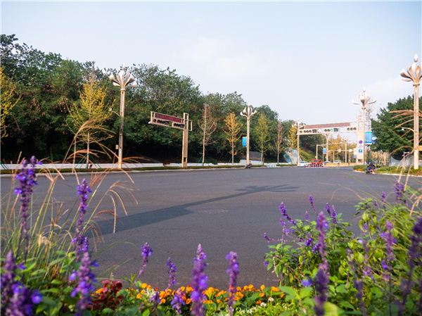 園冶杯獲獎作品丨三江新區黃桷坪大道景觀提升