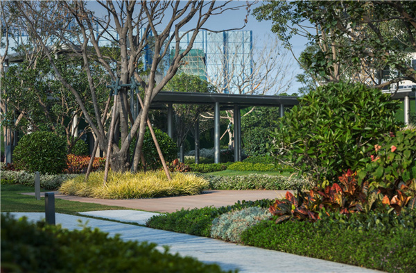 東莞萬江碧桂園·云樾半島