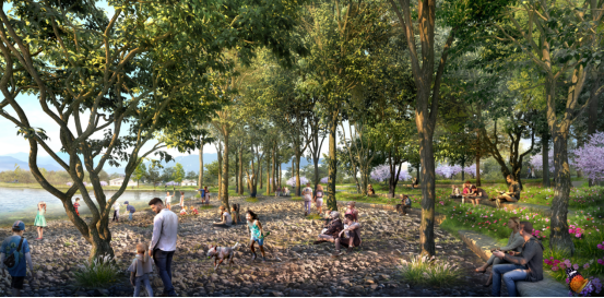 園冶杯獲獎作品丨杭州富陽洋浦江生態修復