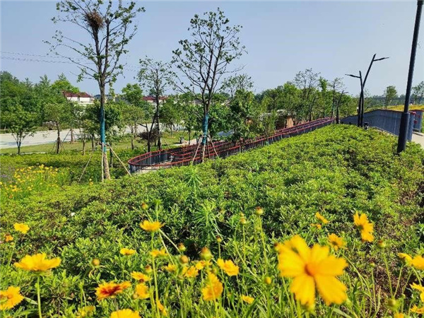 蘄春縣雷溪河整治二期及蘄河綜合整治工程PPP項目