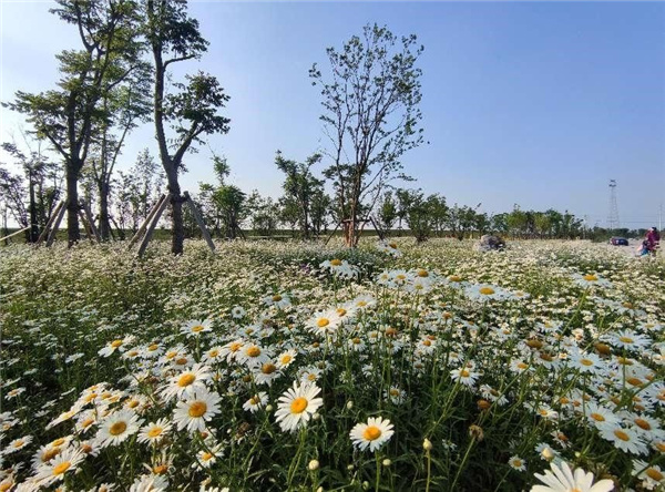 蘄春縣雷溪河整治二期及蘄河綜合整治工程PPP項目