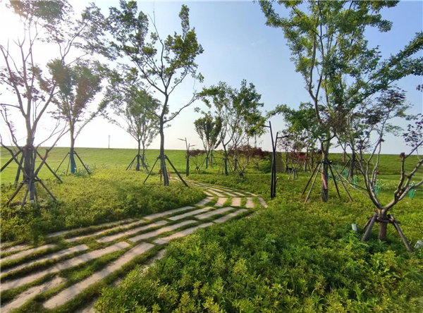 蘄春縣雷溪河整治二期及蘄河綜合整治工程PPP項目