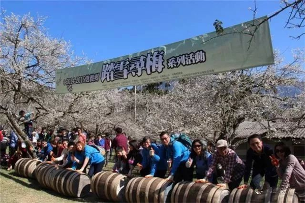 南投縣信義鄉(xiāng)：發(fā)揮地理優(yōu)勢，打造梅子夢工廠