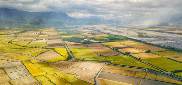 臺東縣池上鄉:稻米之鄉奏響四季樂章