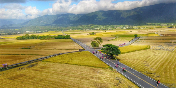 臺東縣池上鄉:稻米之鄉奏響四季樂章