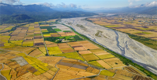 臺東縣池上鄉:稻米之鄉奏響四季樂章