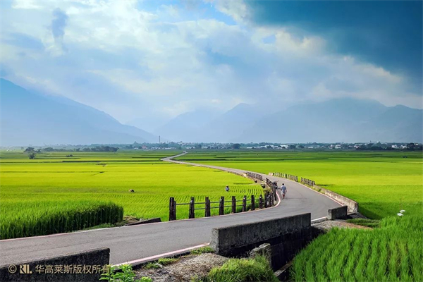 臺東縣池上鄉:稻米之鄉奏響四季樂章