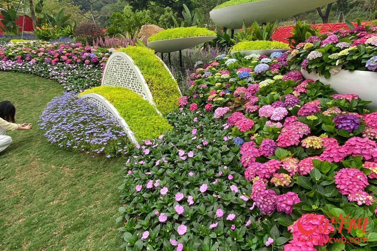 探營廣州園博會:移步換景賞雅色 繡球簇擁廣州城