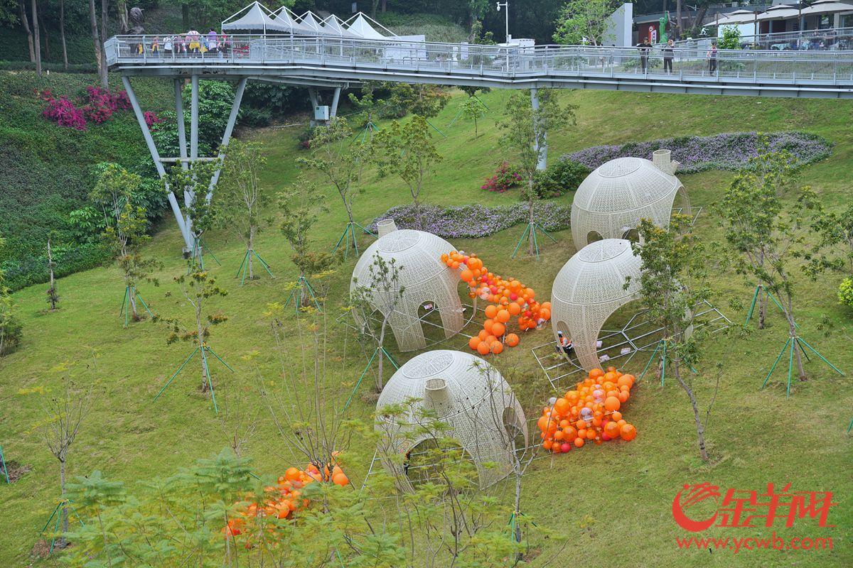 探營廣州園博會:移步換景賞雅色 繡球簇擁廣州城