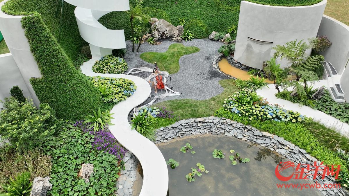 探營廣州園博會:移步換景賞雅色 繡球簇擁廣州城