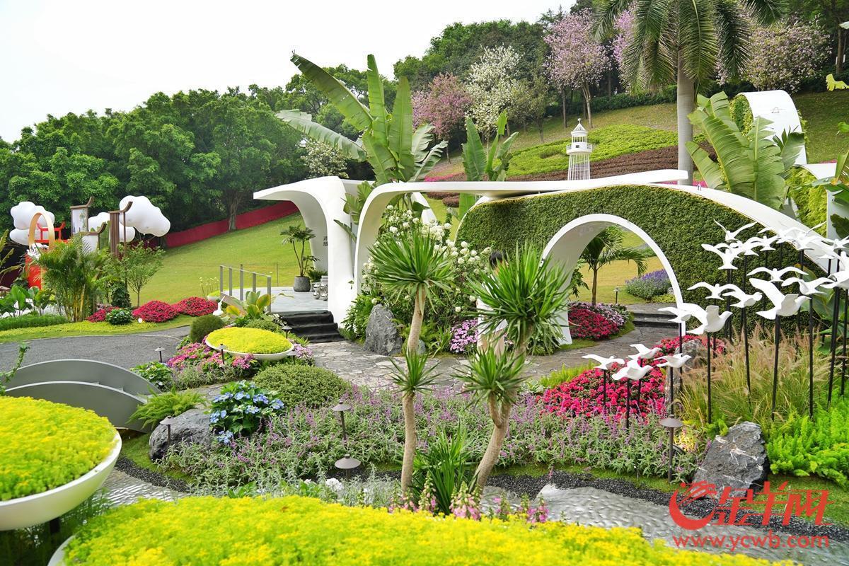 探營廣州園博會:移步換景賞雅色 繡球簇擁廣州城