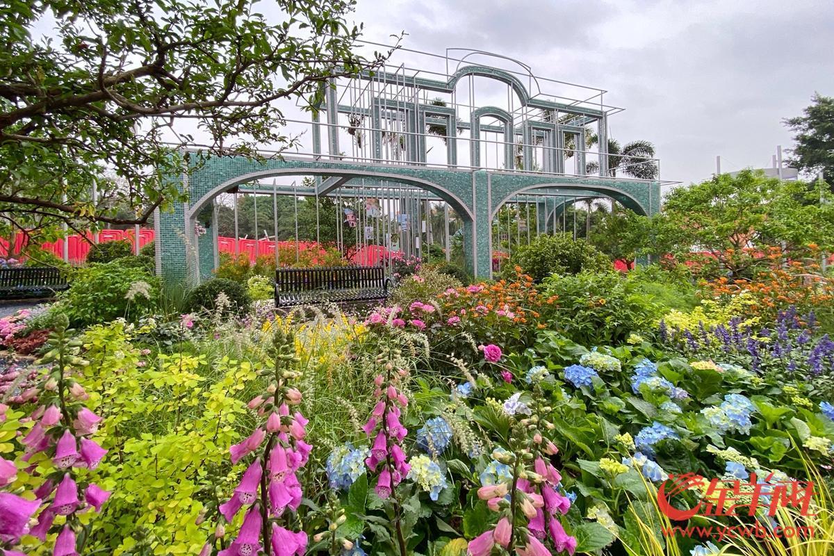 探營廣州園博會:移步換景賞雅色 繡球簇擁廣州城