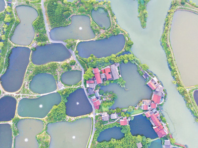 農業文化遺產——應對氣候變化的智慧