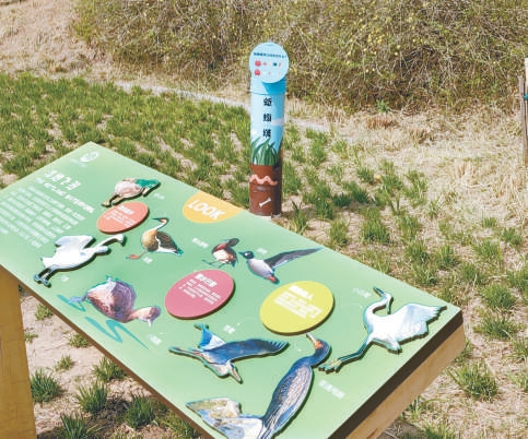 北京海淀：生態代碼寫入創新程序