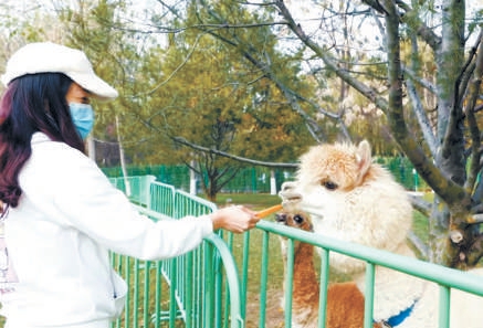 北京海淀：生態代碼寫入創新程序