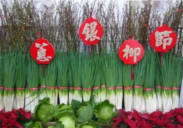 宜蘭縣三星鄉:蔥滿勝算 盡在三星