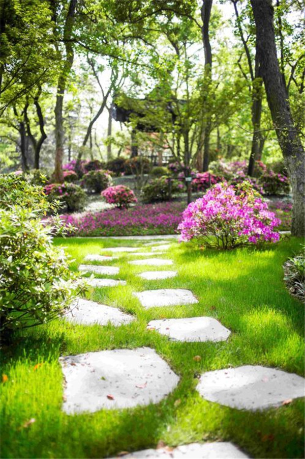 園冶杯獲獎(jiǎng)作品丨合肥逍遙津公園提升改造