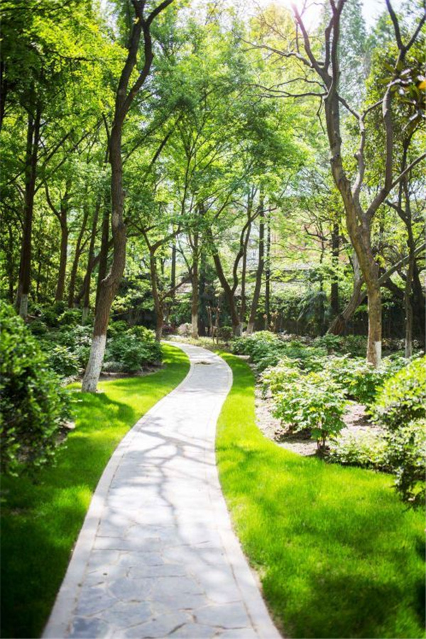 園冶杯獲獎(jiǎng)作品丨合肥逍遙津公園提升改造