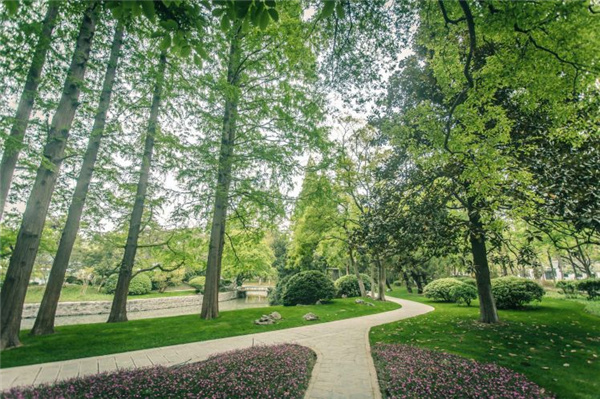 園冶杯獲獎(jiǎng)作品丨合肥逍遙津公園提升改造