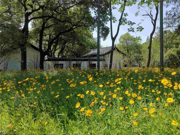 園冶杯獲獎(jiǎng)作品丨合肥逍遙津公園提升改造