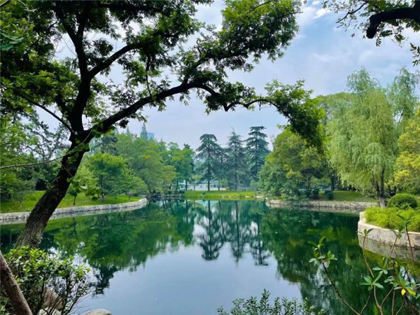 園冶杯獲獎(jiǎng)作品丨合肥逍遙津公園提升改造