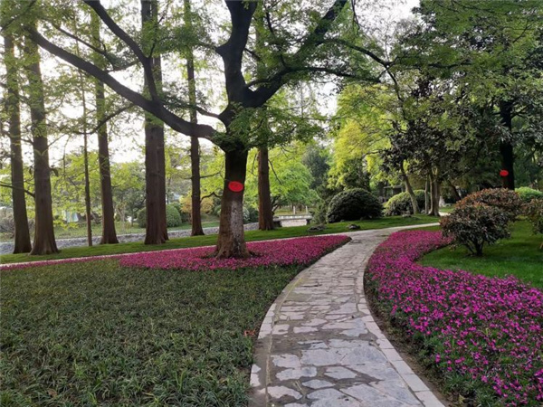 園冶杯獲獎(jiǎng)作品丨合肥逍遙津公園提升改造