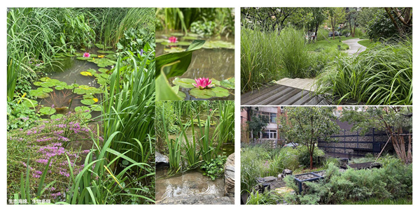 園冶杯獲獎(jiǎng)作品丨車公莊19號院景觀改造