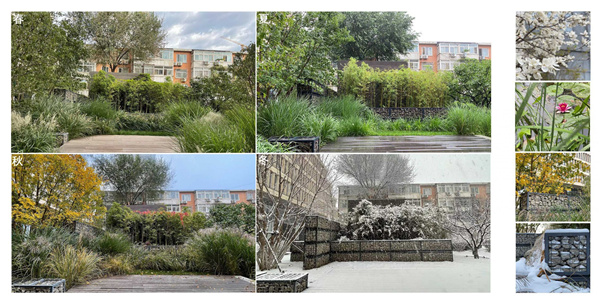 園冶杯獲獎(jiǎng)作品丨車公莊19號院景觀改造