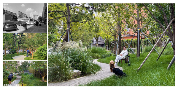 園冶杯獲獎(jiǎng)作品丨車公莊19號院景觀改造