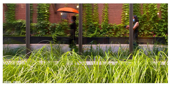 園冶杯獲獎(jiǎng)作品丨車公莊19號院景觀改造