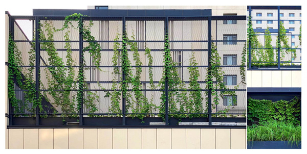 園冶杯獲獎(jiǎng)作品丨車公莊19號院景觀改造