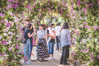 專家熱議：高水平推進國家植物園體系建設(shè)