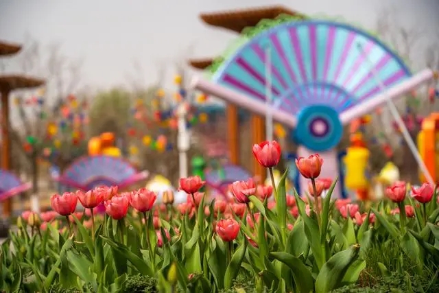 世園公園將推出漢服游園和農耕體驗研學等活動