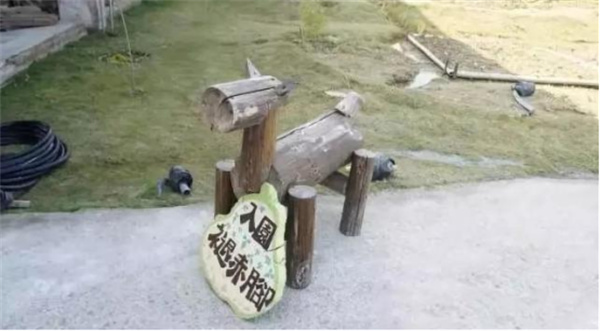 臺南市土溝村：藝術介入社區營造，探索現代農村生活模式