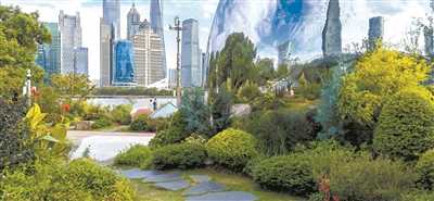 悄然崛起的花境行業(yè)期待產(chǎn)業(yè)化發(fā)展