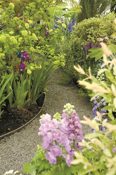 悄然崛起的花境行業(yè)期待產(chǎn)業(yè)化發(fā)展