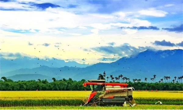 嘉義縣大林鎮：諧音梗不扣錢 反成流量密碼