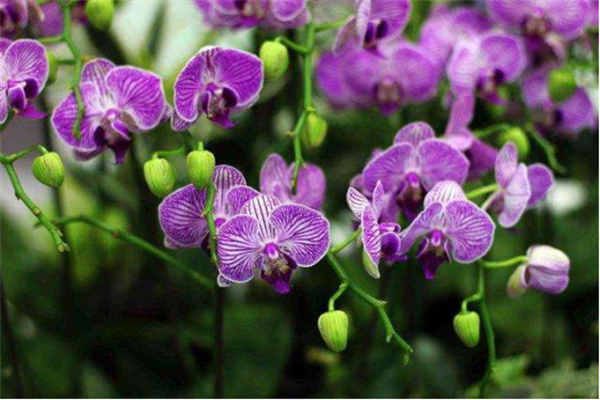 嘉義縣大林鎮：諧音梗不扣錢 反成流量密碼