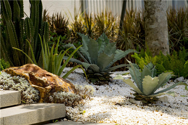 園冶杯金獎作品丨三亞溫泉谷度假村景觀