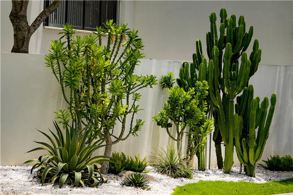 園冶杯金獎作品丨三亞溫泉谷度假村景觀