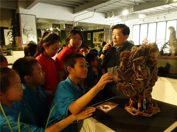 “石·尚北京 童心相約”——“走進非遺看北京”非遺文化普及體驗活動之“觀賞石的花樣年華”