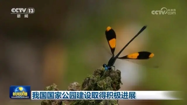 一年來,我國國家公園在哪些方面取得積極進(jìn)展