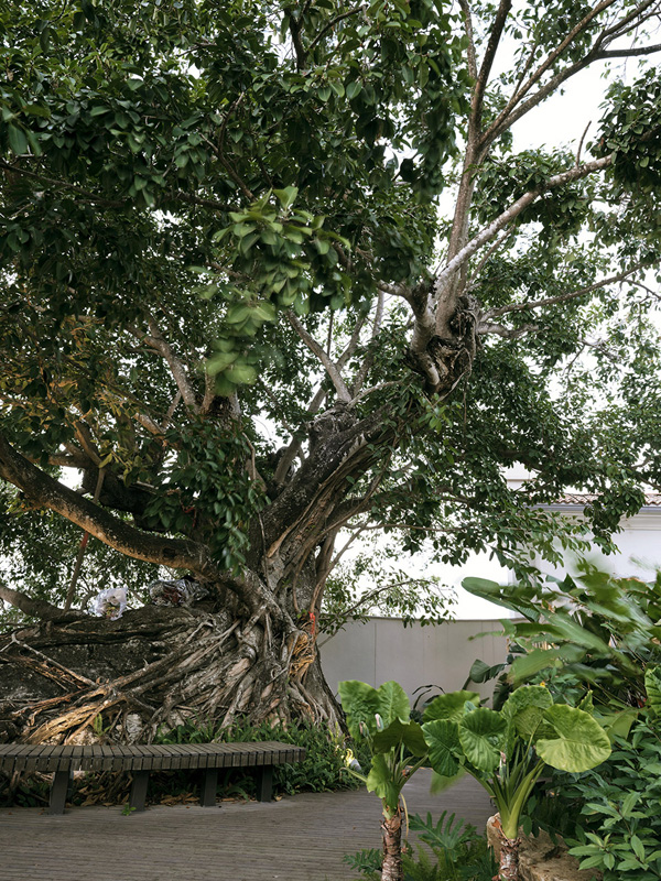 致舍景觀 ｜ 阿那亞三亞南花園