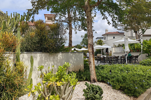 致舍景觀 ｜ 阿那亞三亞南花園