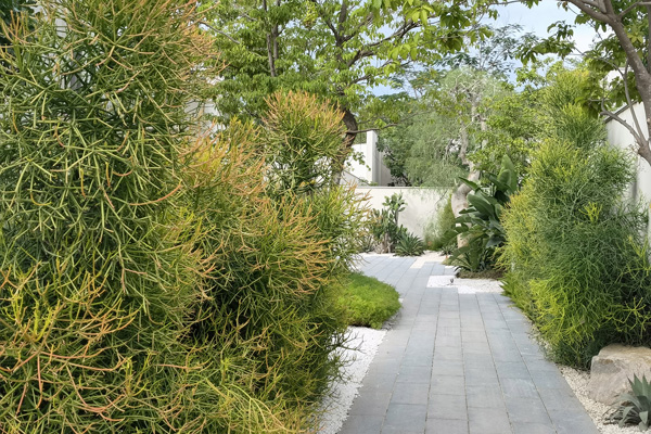 致舍景觀 ｜ 阿那亞三亞南花園