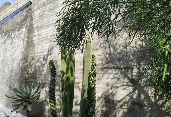 致舍景觀 ｜ 阿那亞三亞南花園