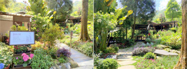 臺中新社薰衣草森林:人與自然的雙重自由